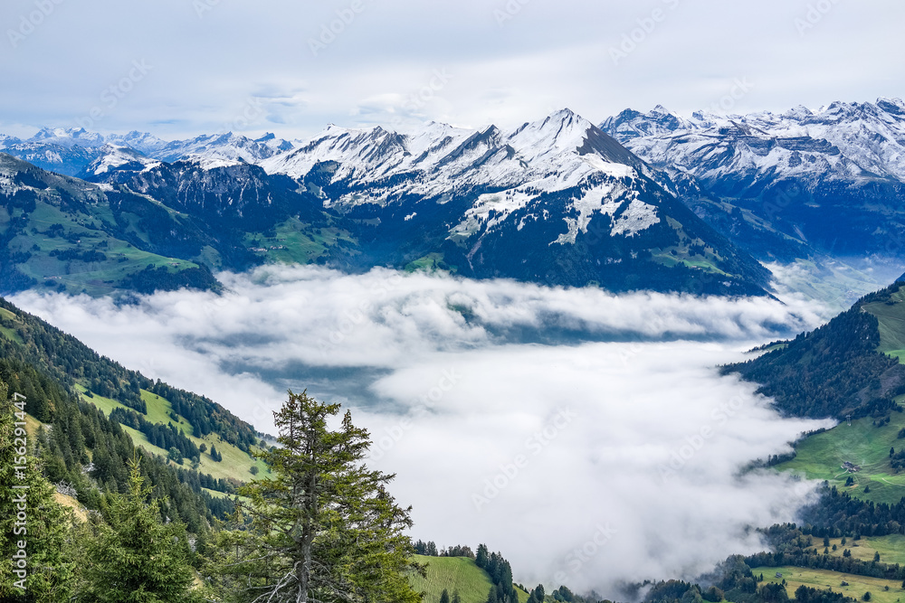 View from high top  with fog ocean below and alp mountain in the background in autumn, Switzerland
