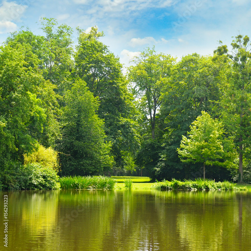 picturesque lake  summer forest and sky