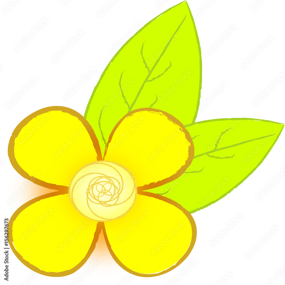 yellow flower