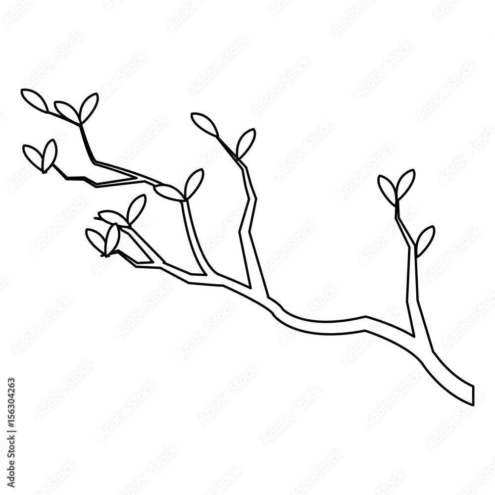 outline branch leaves tree nature japan vector illustration Stock
