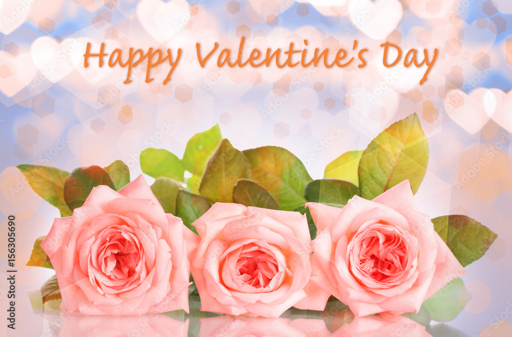Fotografie Pink roses isolated on white.