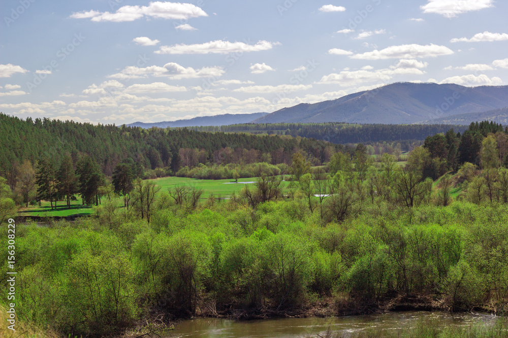 Obraz premium landscape with forest on the background of the Ural mountains on a clear Sunny day