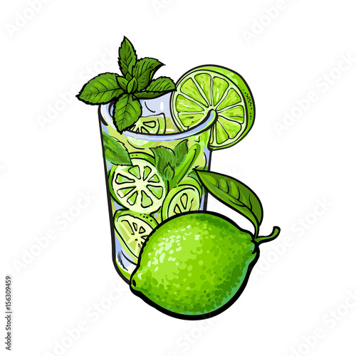 Whole lime and glass of freshly squeezed juice, mojito, cocktail with ice and mint, sketch vector illustration isolated on white background. Hand drawn glass of lime juice and lime quarter