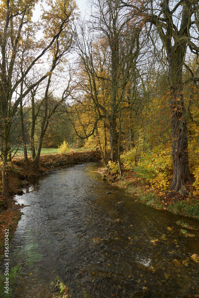 Herbst
Im Wesenitztal Herbst
Im Wesenitztal