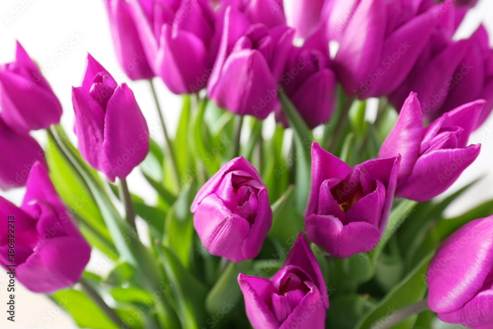 Beautiful tulips, closeup