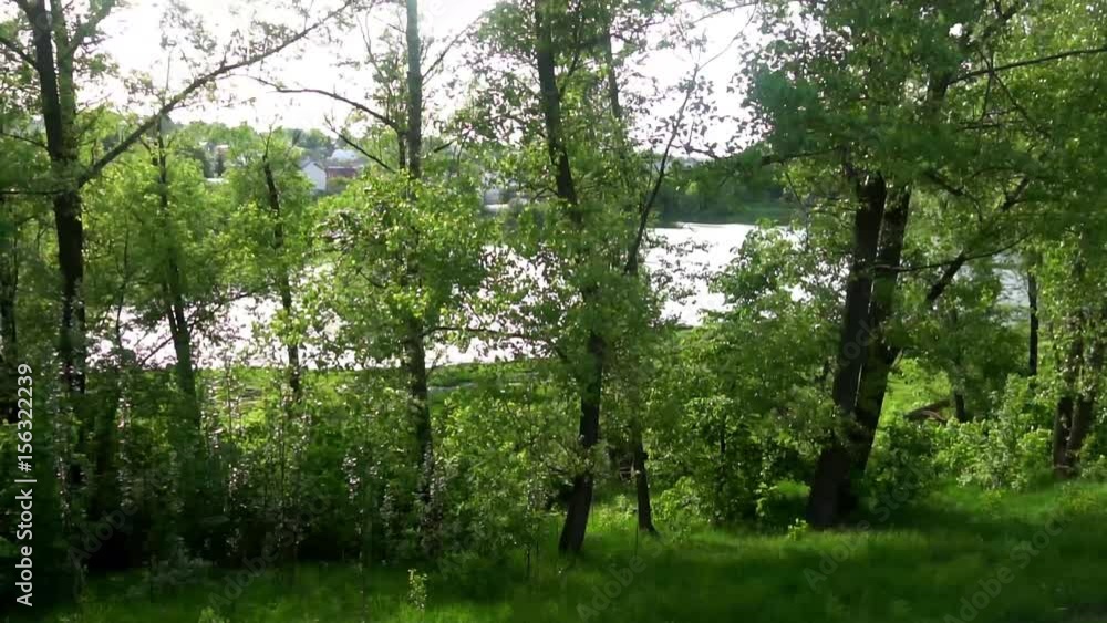 beautiful pond in the woods,green trees ,birds beautiful pond in the woods,green trees ,birds