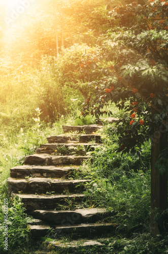Stone stairs in the park with green trees and grass. Sun is shining. Natural travel concept