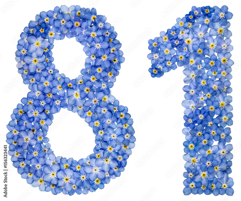 Arabic numeral 81, eighty one, from blue forget-me-not flowers Arabic numeral 81, eighty one, from blue forget-me-not flowers