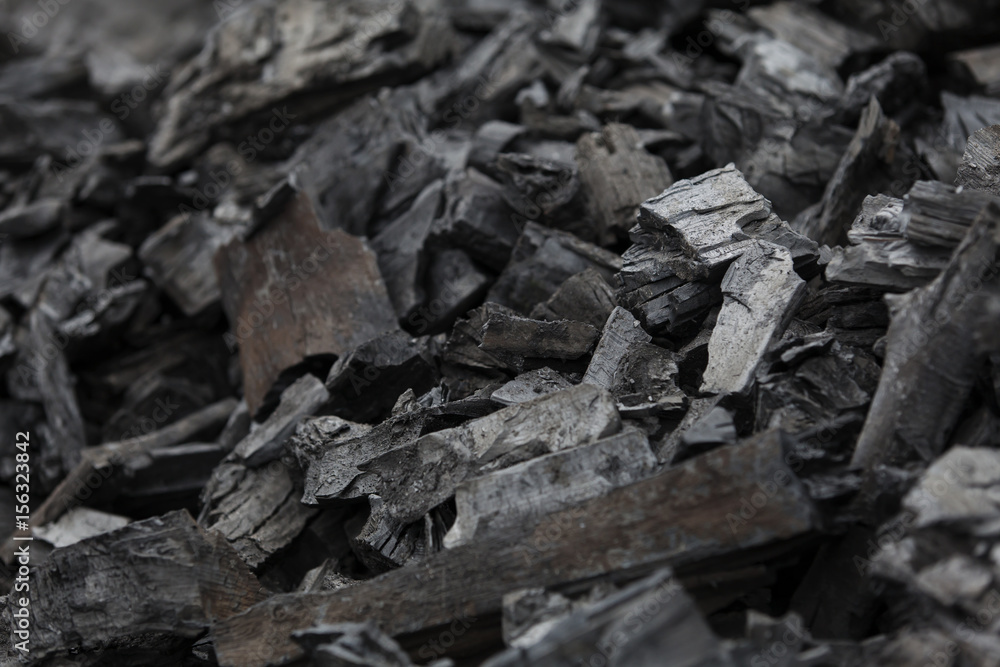 Pieces of coal and burnt wood