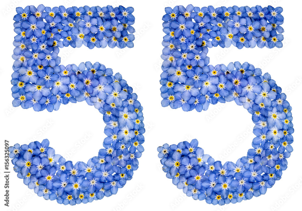 Arabic numeral 55, fifty five, from blue forget-me-not flowers Arabic numeral 55, fifty five, from blue forget-me-not flowers
