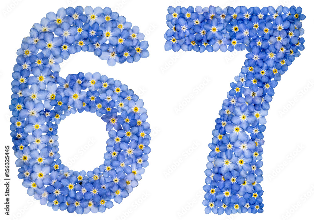 Arabic numeral 67, sixty seven, from blue forget-me-not flowers Arabic numeral 67, sixty seven, from blue forget-me-not flowers