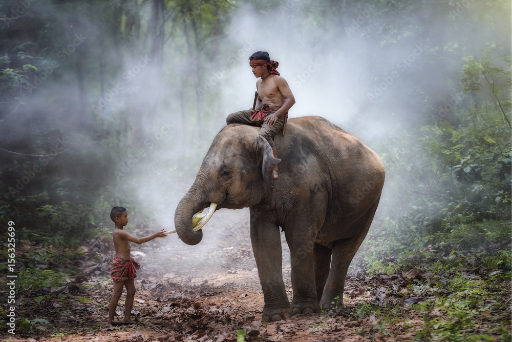 Fotografie Elephant and mahout