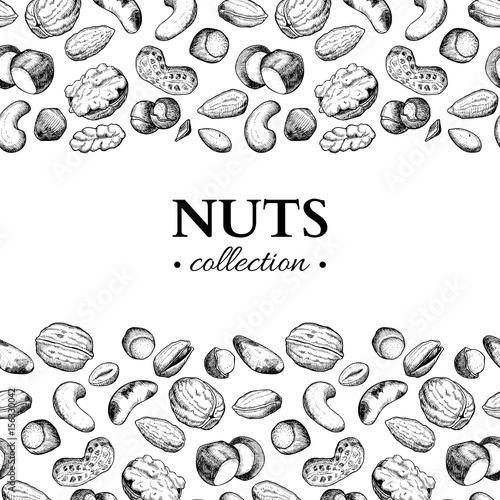 Nuts vector vintage frame illustration. Hand drawn engraved food objects.