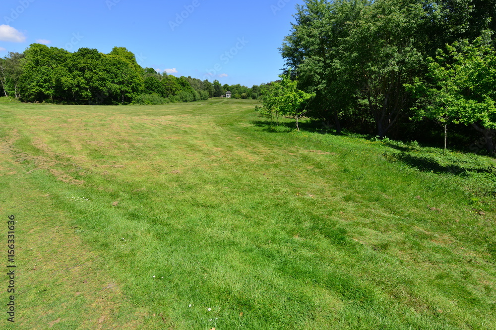 A very large lawn area on a country estate in Sussex