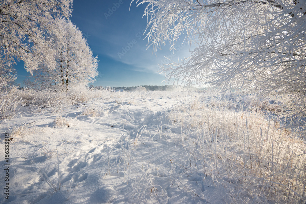 Russian Winter. Morning Frosty Winter Landscape With Dazzling White Snow And Hoarfrost, Trees And A Saturated Blue Sky. Field With Traces On A Sunny Day. Reed, Grass And Trees Are Covered With Frost.