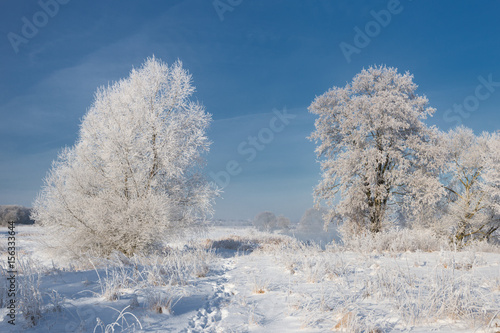  Morning Frosty Winter Landscape With Dazzling White Snow And Hoarfrost, River And A Saturated Blue Sky.Winter Small River On A Sunny Day. A Real Russian Winter.Frost frost on the trees. Sunny day
