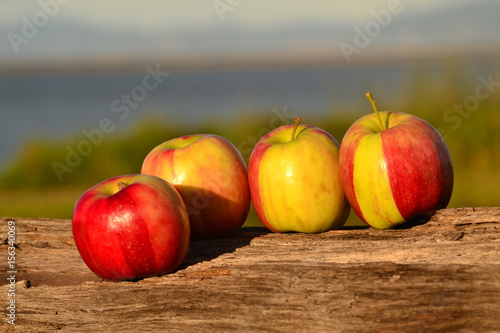 Striped apples photo