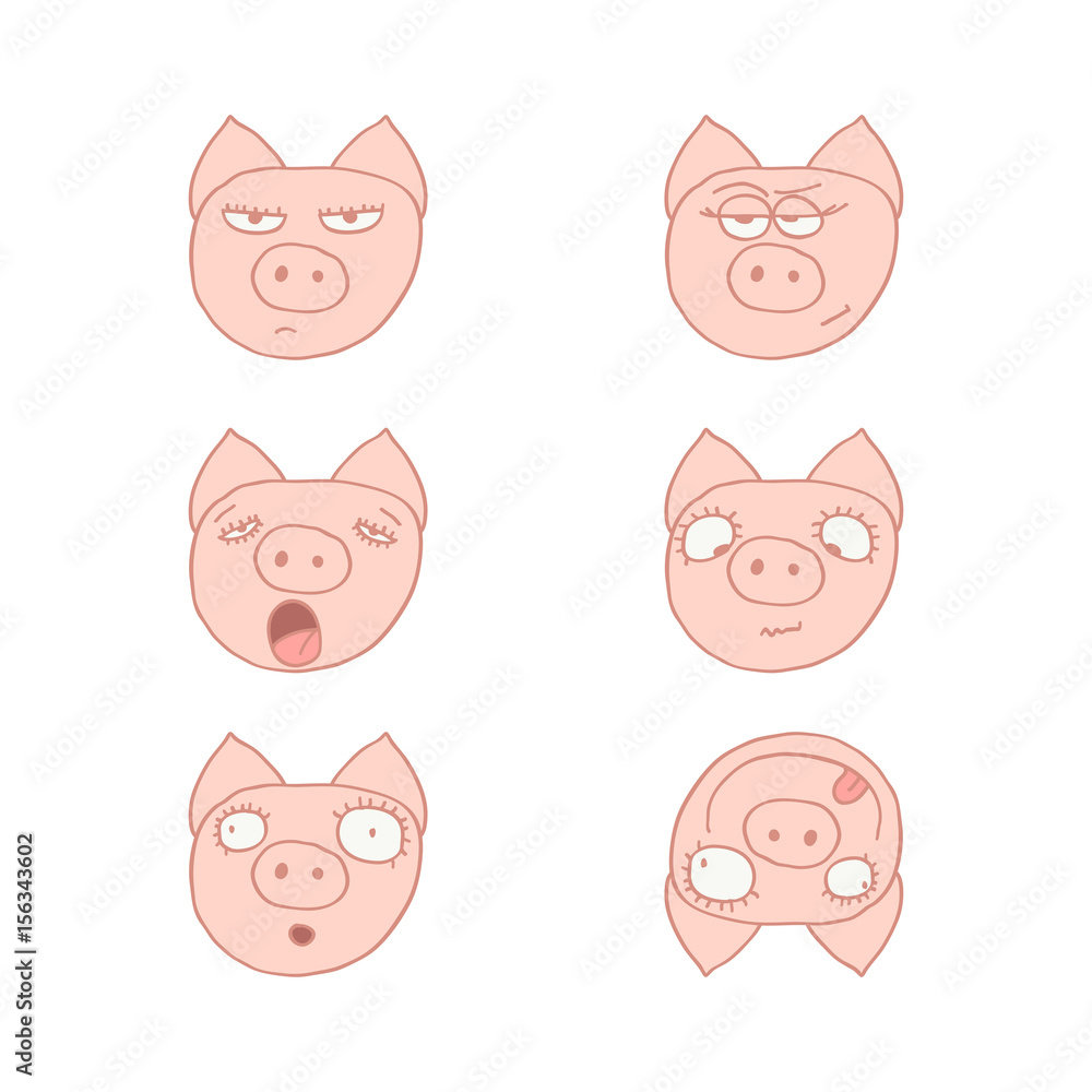 Faces of pigs Faces of pigs
