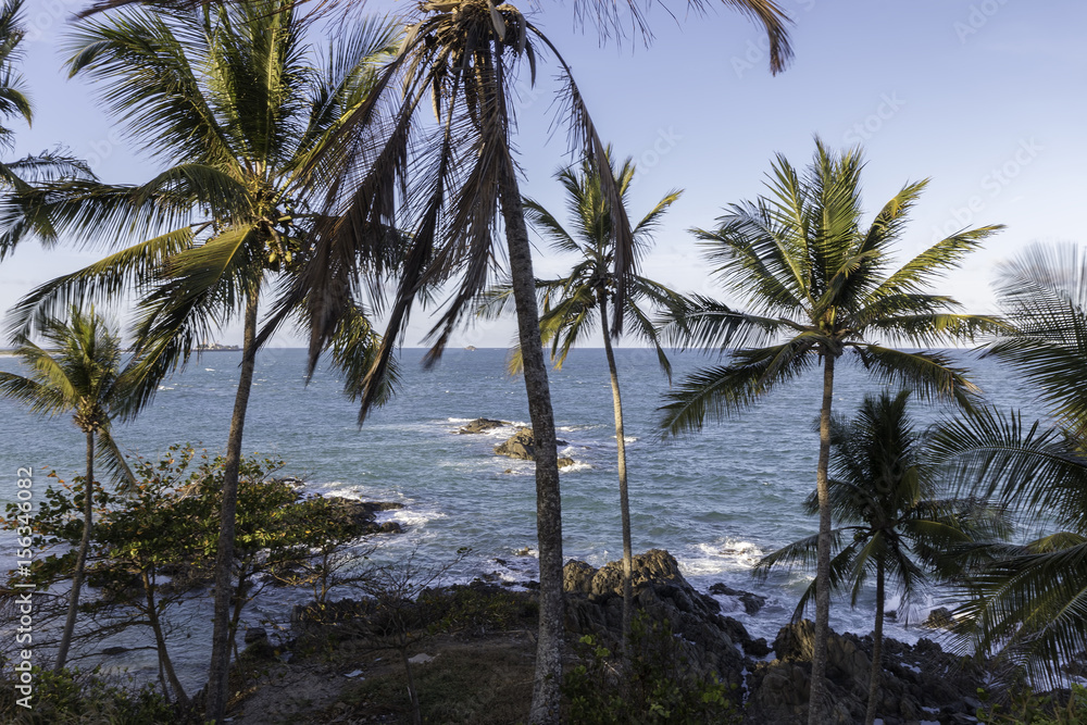 View with coconut palms on tropical island