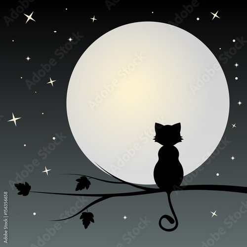 Silhouette of black  cat on the tree looks
 with full moon