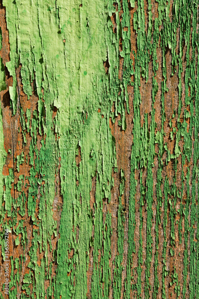 aged wooden plank with decayed green paint texture aged wooden plank with decayed green paint texture