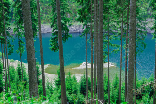 Wald am See