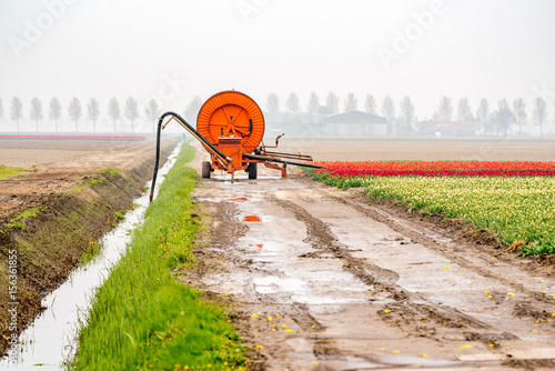 Fototapeta Naklejka Na Ścianę i Meble -  Spraying machine on the tulip field