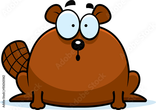 Surprised Little Beaver
