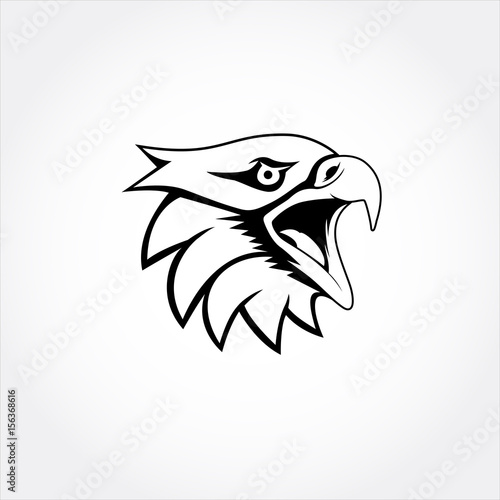 black white eagle head