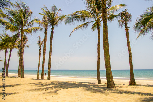 Tropical beach with palm tree's and golden sand in beautiful tropical Vietnam © sean heatley