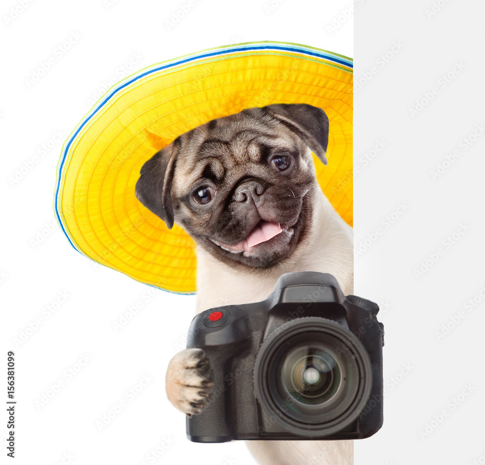 Dog photographer in summer hat peeking from behind empty board and taking pictures. isolated on white background