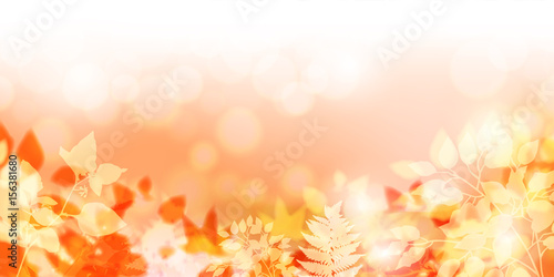 紅葉　秋　風景　背景