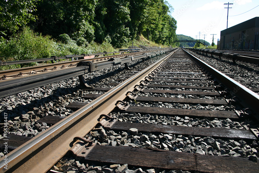 Fototapeta premium Railroad Track Dodging Trains