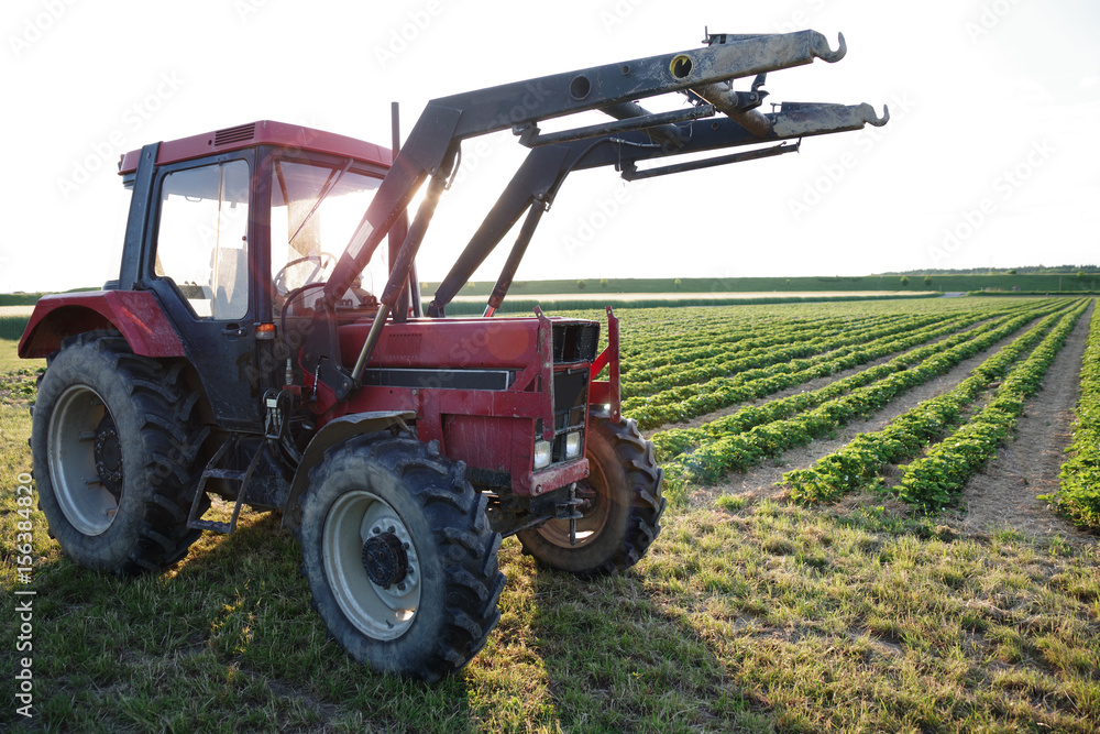Obraz premium Traktor auf einem Feld