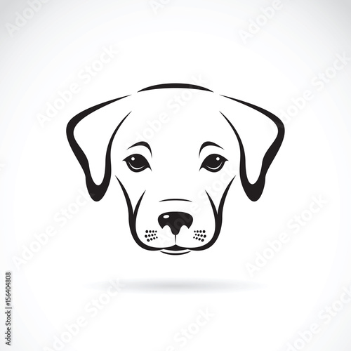Vector of a labrador puppy face on white background. Dog. Pet