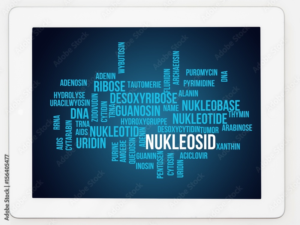 Nukleosid Nukleosid