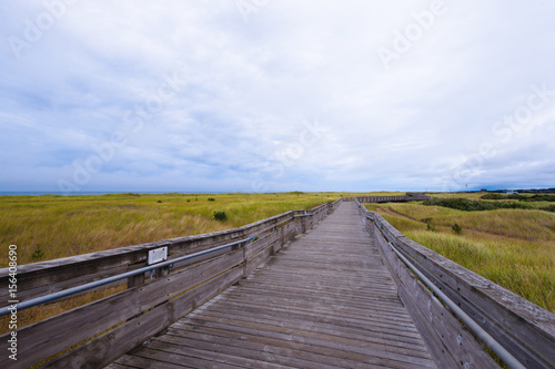 Wooden long sidewalk for vacationers traveling along coast of ocean