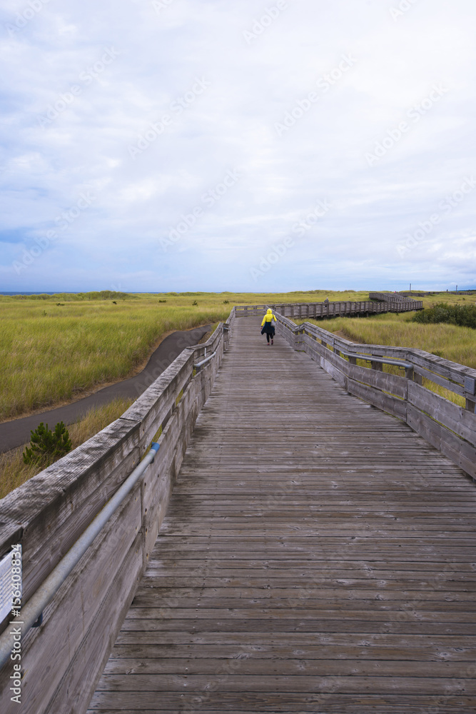 Wooden pier with handrails winding for walking along ocean coast