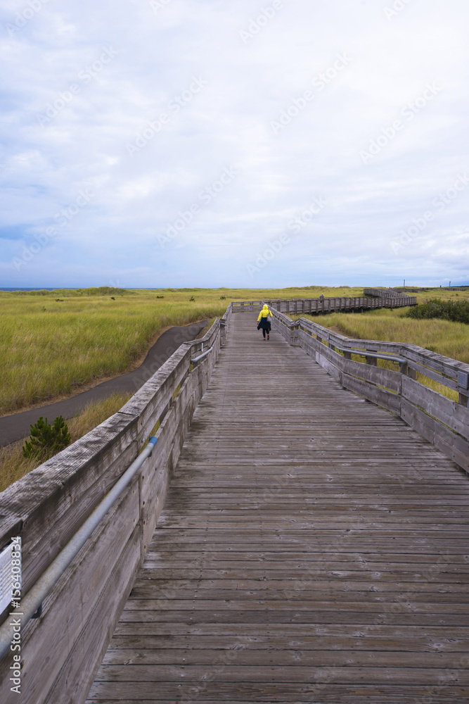Wooden pier with handrails winding for walking along ocean coast Wooden pier with handrails winding for walking along ocean coast