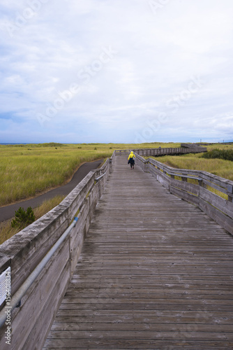 Fototapeta Naklejka Na Ścianę i Meble -  Wooden pier with handrails winding for walking along ocean coast