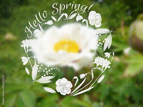 Background  with spring garden flowers