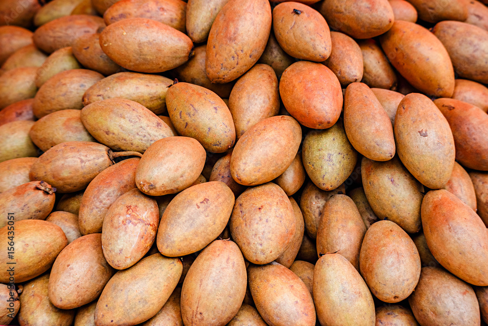 Full flame of sapodilla fresh market Full flame of sapodilla fresh market