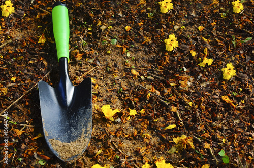 Gardening scoop o the ground