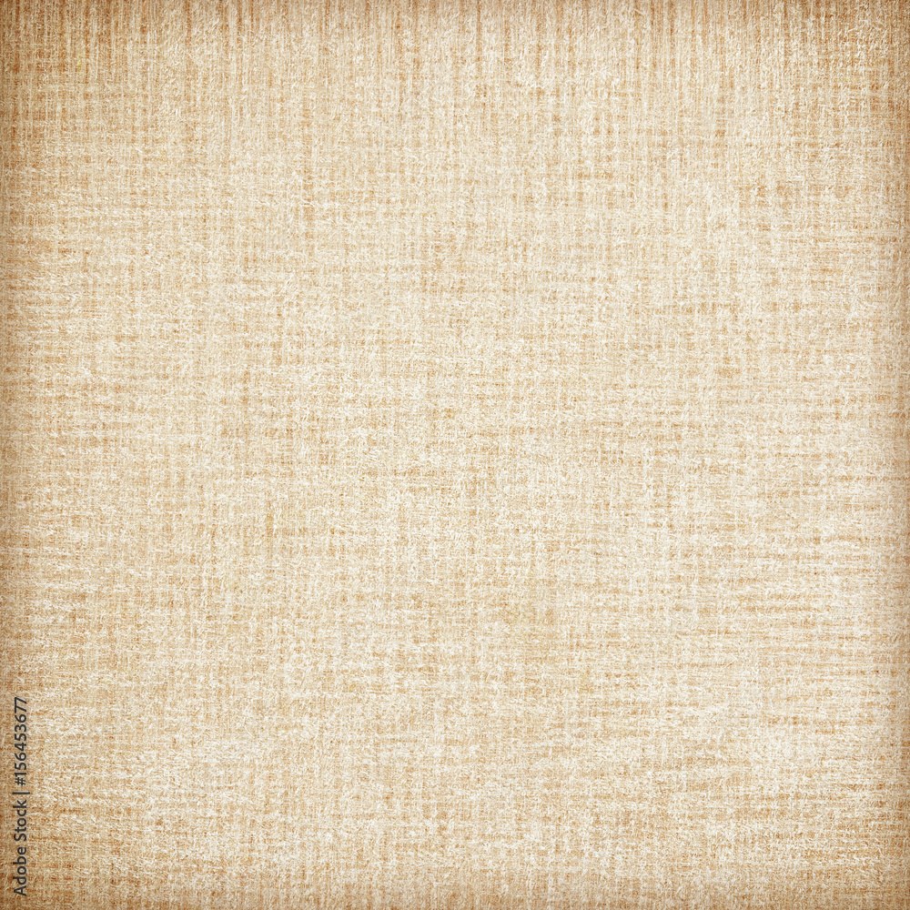 Fototapeta premium wood plywood texture background, plywood texture with natural wood pattern