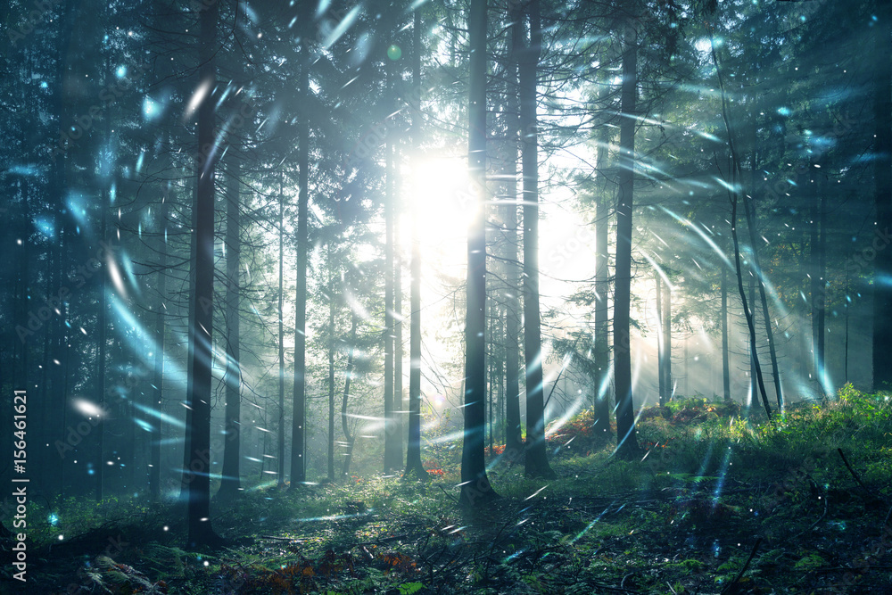 Fototapeta premium Fantasy niebieski zielony las mglisty bajki z koła świetliki bokeh tło. Zastosowano efekt filtra koloru.