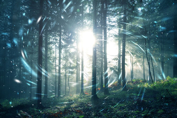 Fantasy blue green foggy forest fairytale with circle fireflies bokeh background. Color filter effect used.