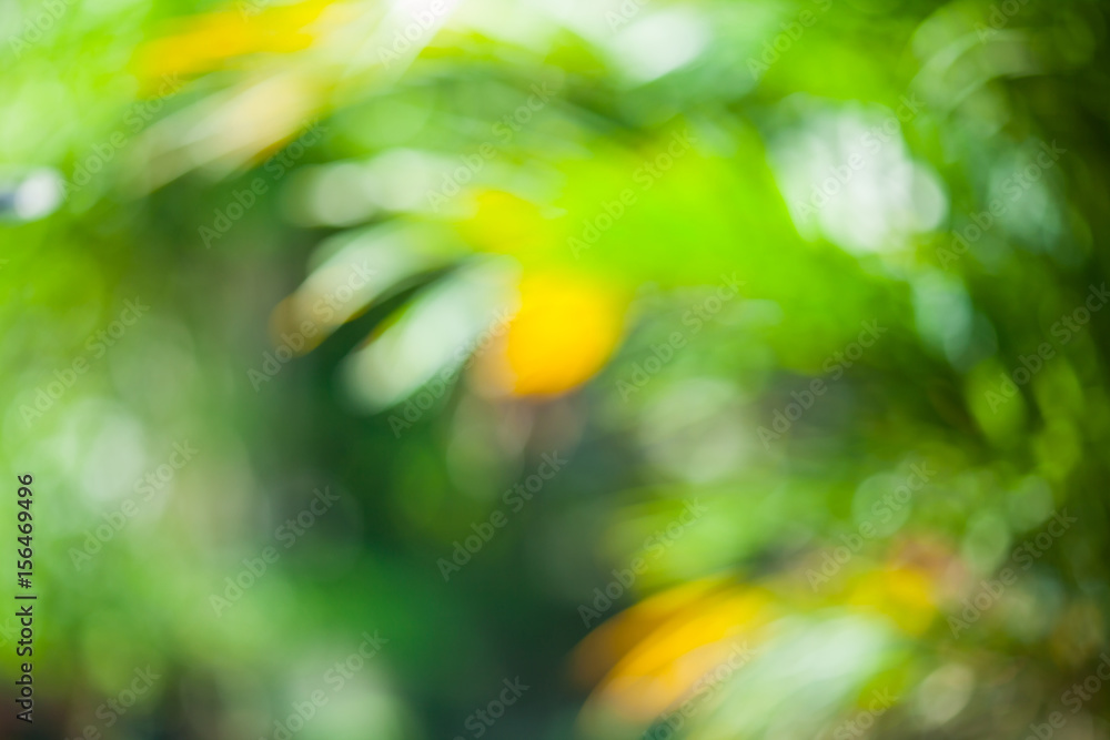 Obraz premium abstract bokeh from nature background