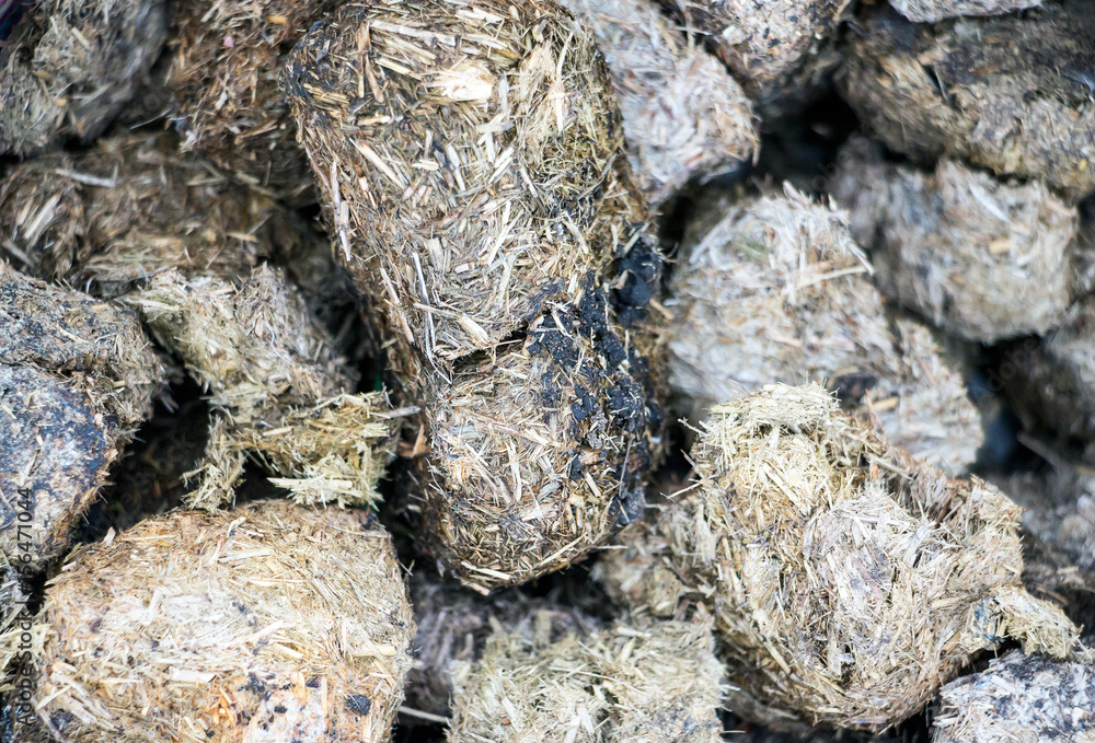 Horse dung close-up for background. Selective focus 2 Horse dung close-up for background. Selective focus 2