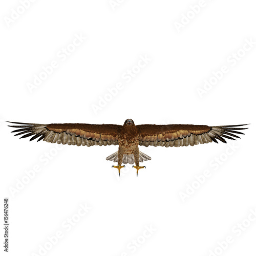 Gurney Eagle on white. Front view. 3D illustration
