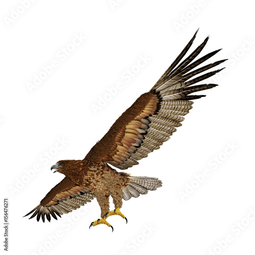 Gurney Eagle on white. 3D illustration © 2dmolier